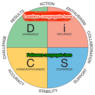 DISC Profile of leaders